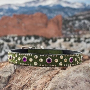 Swarovski Crystal Dog Collar - Small Dog Collar with Swarovski Crystals - Leather Dog Collars - Green Leather Dog Collar - Bling Dog Collars