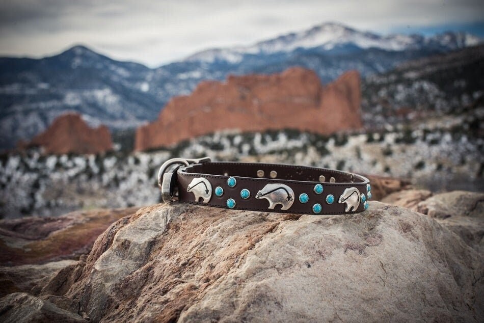 Brown Bear Dog Collar - Turquoise Like Leather Durable Luxury Santa Fe