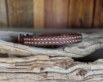 Brown Leather Studded Dog Collar - Biker Style, 3/4" Wide