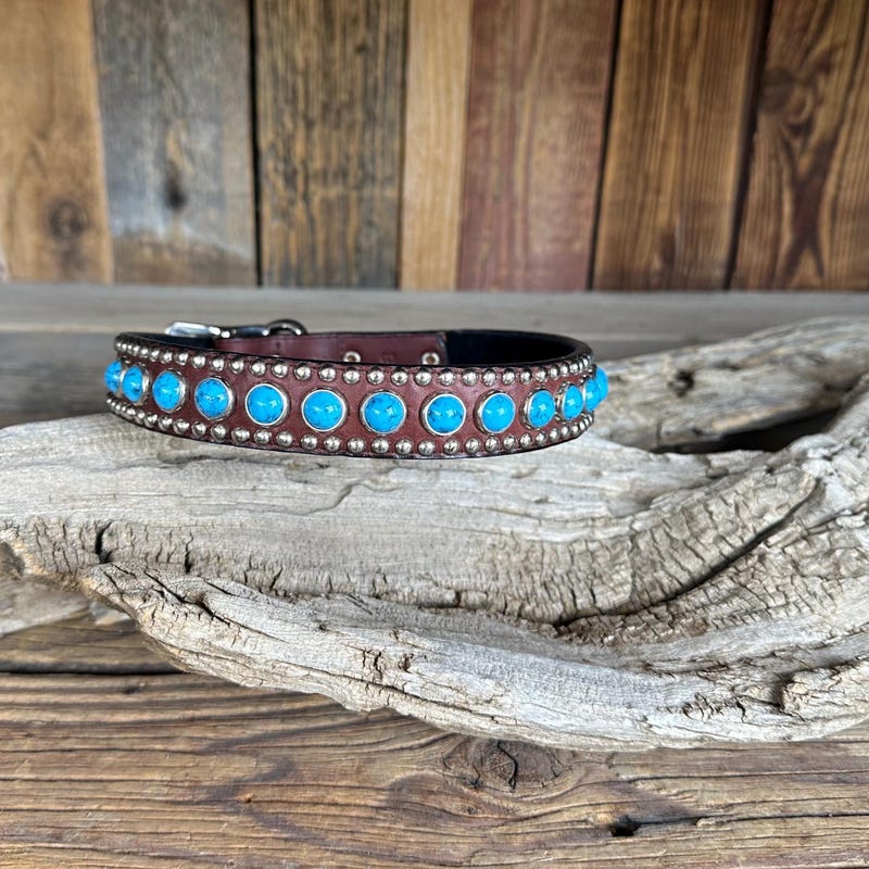 Dog collar Company of Animals Turquoise