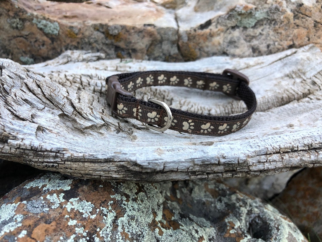 Snapshot of Paw Print Cat Collars With Names