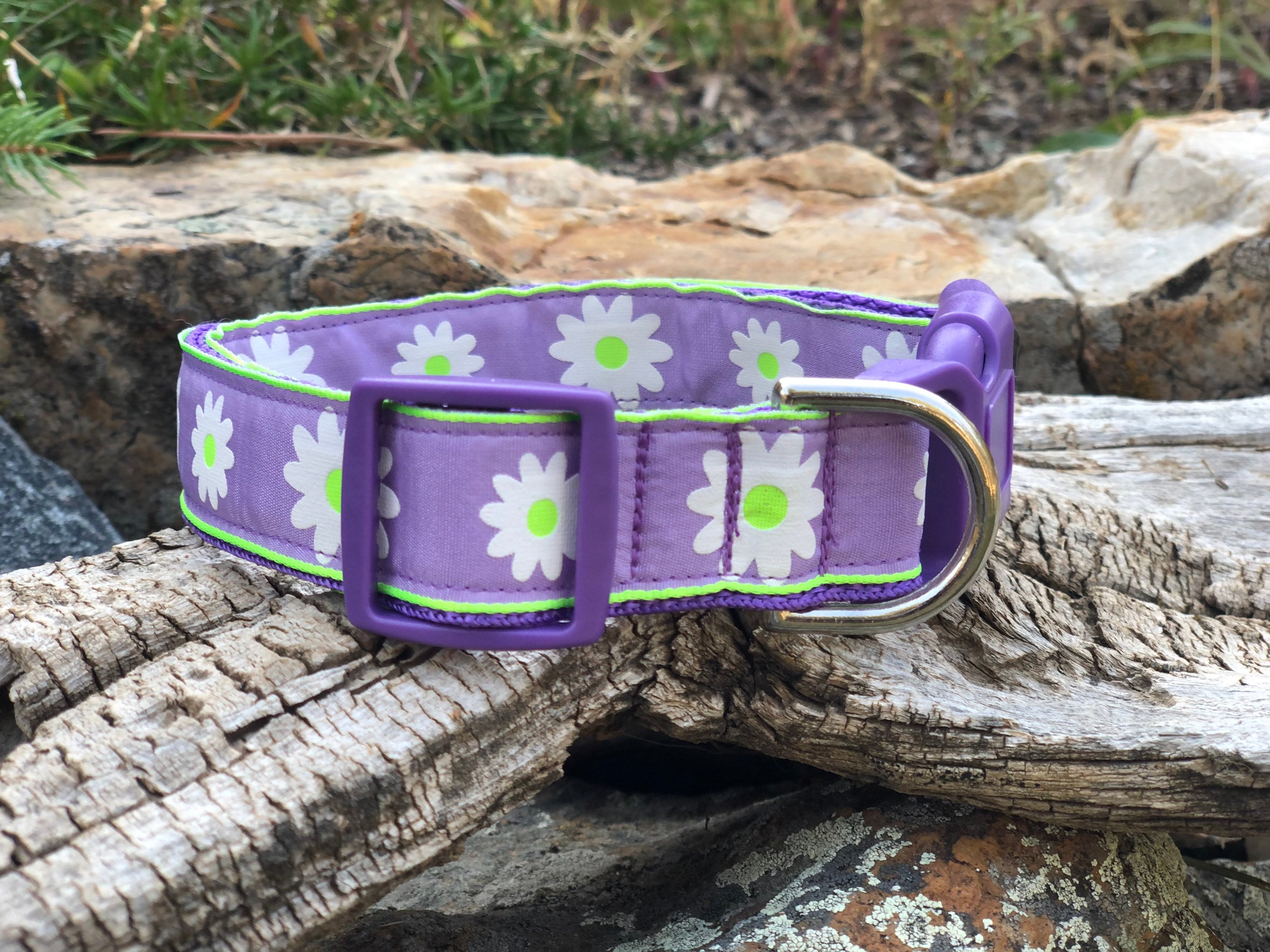 Lavender Daisy Dog Collar Lavender Dog Collars Purple Dog Etsy