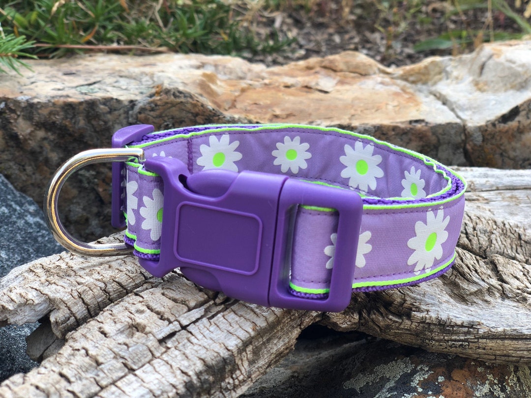 Lavender Daisy Dog Collar Lavender Dog Collars Purple Dog Collar Daisy