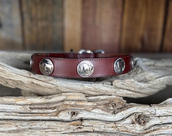 Buffalo Nickel Leather Dog Collar – Western Native American Style