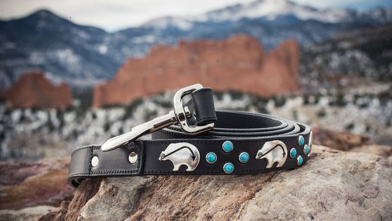 turquoise dog leash