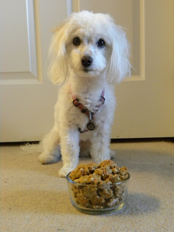 banana carrot dog treats