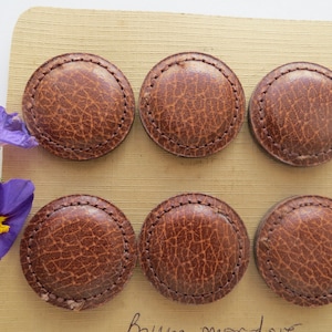 May include: Six circular, brown leather buttons with a textured finish and stitched borders. The buttons are displayed on a light brown surface, with a purple flower in the upper left corner.