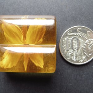 1920-talets SÄLLSYNTA Antik Art Deco Bärnstensfärgad Äppeljuice Samlarknapp - Fjäril Omvänd Snidning 35 mm x 32 mm bild 2