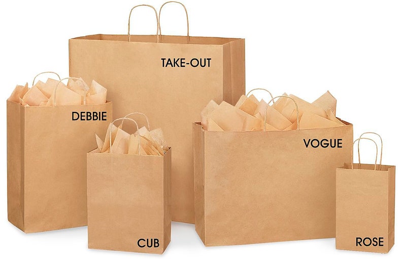 Handles Gifting Bridal Shower Birthday Gift Cub Size 8x10.25x4.75 Brides Maid Tote Wedding Gifting Kraft Gift Bags Party