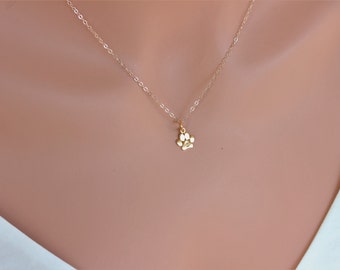 Happy got you day, Pet Birthday Gifts, Tiny 14k solid gold Paw print pendent, Tiny Paw Print only pendent/with chain, Personalized paw print