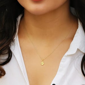 14k Solid Gold Paw Print Necklace - Personalized Pet Adoption Gift
