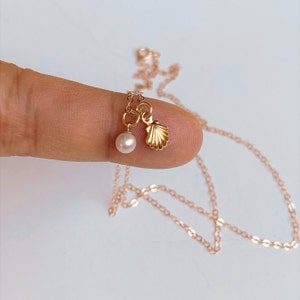 14K Gold Seashell Pearl Necklace: Dainty Clam Pendant