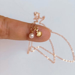 Tiny Seashell Pearl Necklace in 14K Gold - Seashell Clam With Pearl Pendant - Dainty Shell Necklace - Tiny Pearl Seashell  - Gift for her