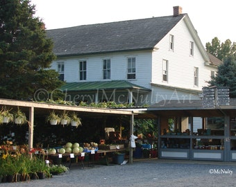 The Amish Farm Stand Photographic Print of Amish Shop Business Farmers Market Produce Farm To Table  Wall Decor