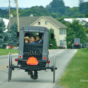 K&ouml;nnte beinhalten: Ein grauer, von Pferden gezogener Wagen mit einem schwarzen Verdeck und einem orangefarbenen reflektierenden Dreieck hinten. Zwei Kinder sitzen im hinteren Teil des Wagens und schauen aus dem Fenster. Der Wagen f&auml;hrt auf einer asphaltierten Stra&szlig;e.