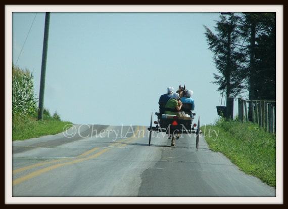 Amish Photographic Print Buggy With Amish Women in Horse and Buggy