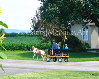 Mini Riders Amish Buggy Photographic Print Amish Children Buggy Ride Miniature Horse and Wagon Amish Life Wall Decor