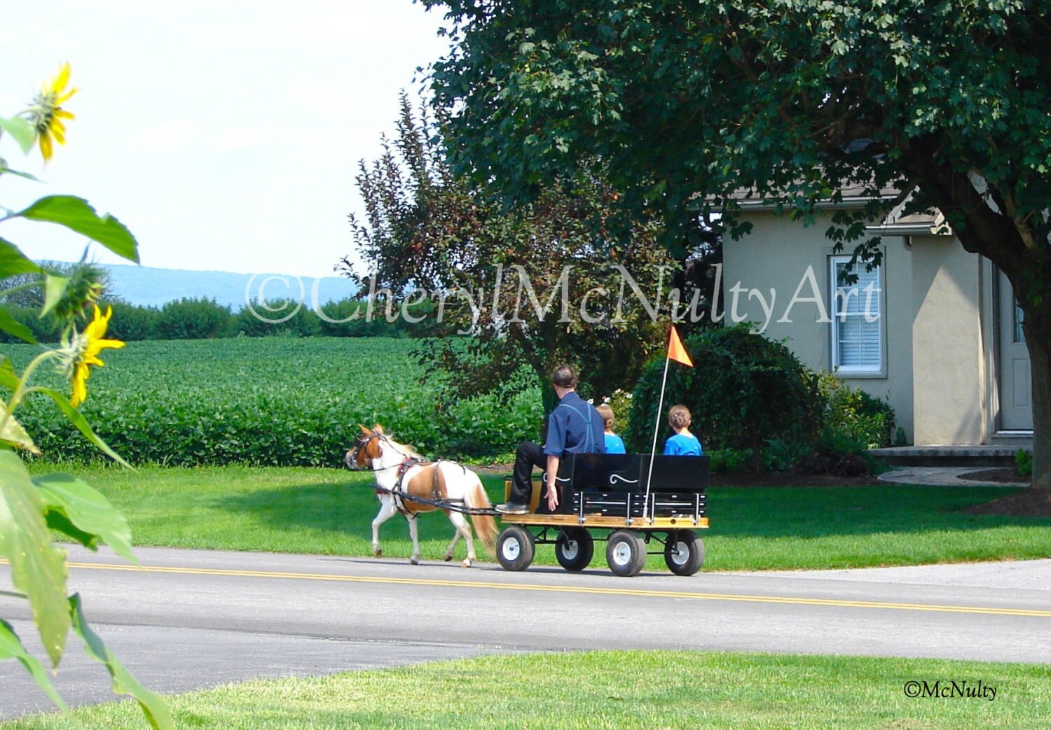 Mini Riders Amish Buggy Photographic Print Amish Children Buggy