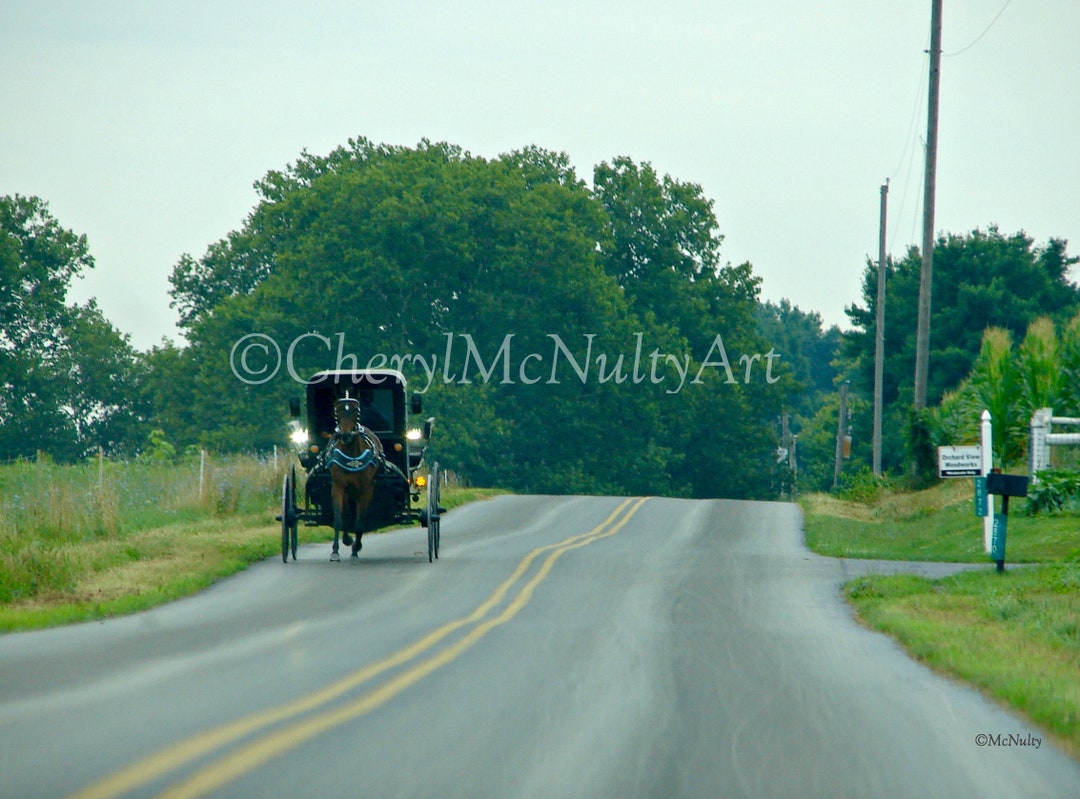 Buy Amish Photographic Print 