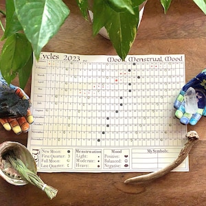 Moon Menstrual Mood - Cycles Tracker - Lunar Calendar - printable PDF - 2025 PST