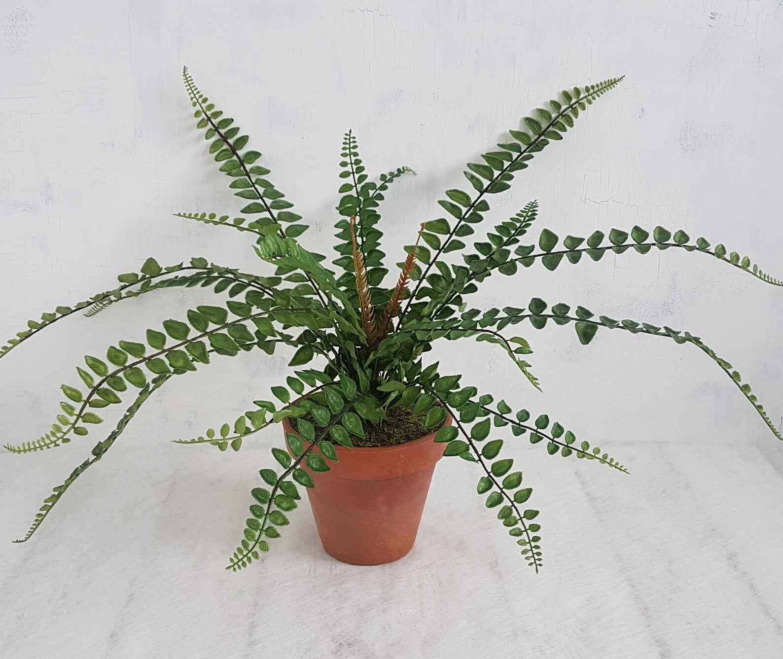 Fern Plant in Old Terracotta Pot Artificial Green Houseplants Etsy UK