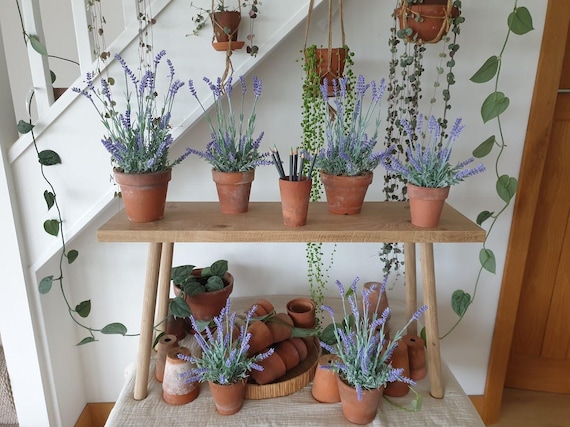 Artificial Lavender Plant in Genuine Vintage Terracotta Pot: Faux Purple  Plant, Indoor Dcor - Etsy