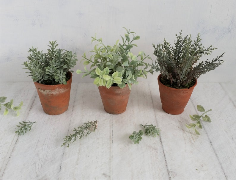Set 3 little green plants in old terracotta pots Artificial Etsy