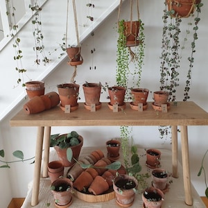 May include: A collection of terracotta plant pots, some suspended, others arranged on a wooden table. The pots are of various sizes and shapes, some containing small plants. Trailing green vines provide a natural aesthetic. The setting is against a white wall.