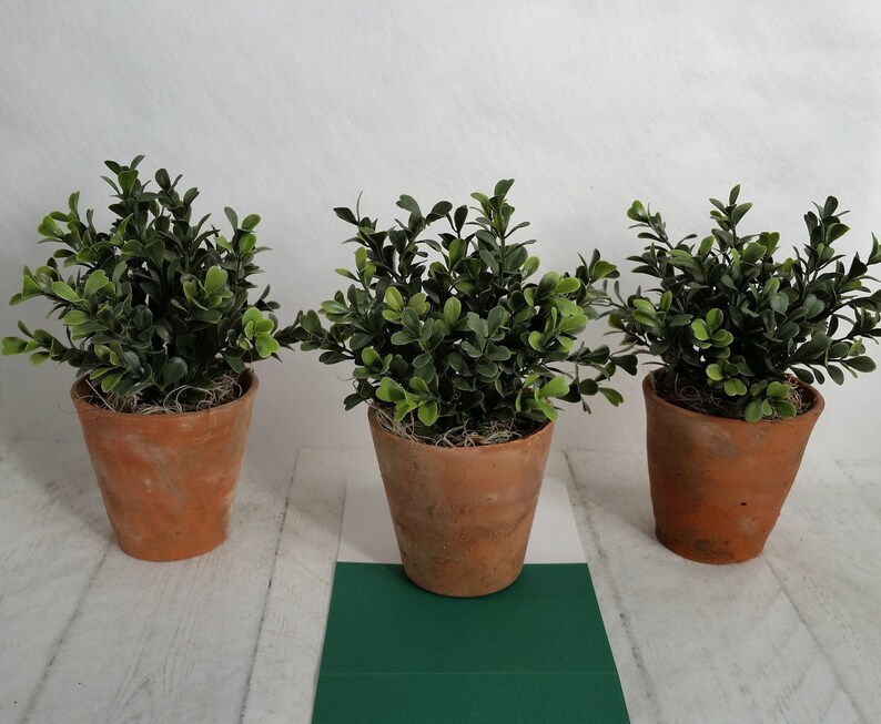 Artificial green box plants in vintage terracotta pots Realistic faux houseplant Small green indoor planter Pot plant Clay pot Gifts for her