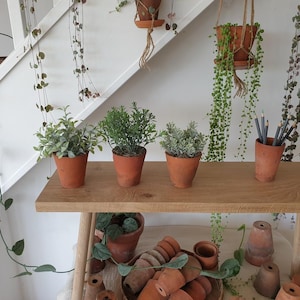 May include: A wooden shelf displays small potted plants and a terracotta pot filled with pencils. Trailing vines and hanging plants add a natural touch. Additional terracotta pots are arranged below, creating a rustic, botanical theme.