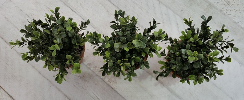 Artificial green box plants in vintage terracotta pots Realistic faux houseplant Small green indoor planter Pot plant Clay pot Gifts for her