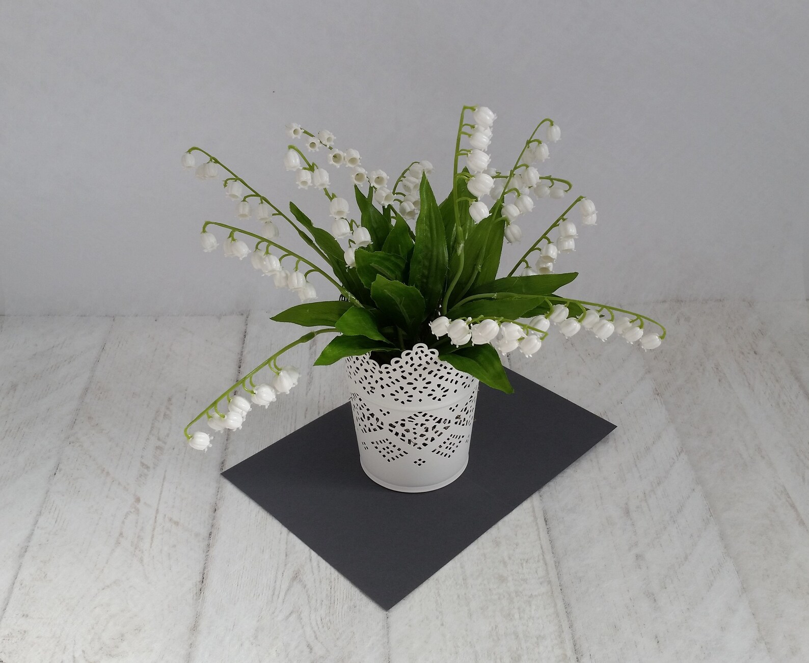 Indoor Lily of the valley plant Delicate pretty white lace pot Etsy