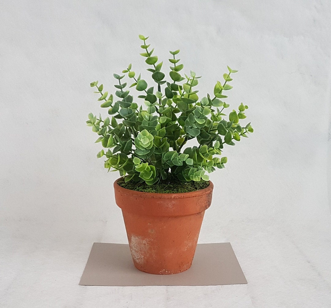 Mica Decorations Kunstplant Eucalyptus - Halve - Geen onderhoud