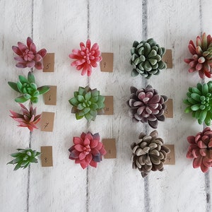 May include: Assortment of 17 artificial succulent plants, displayed on a white wooden surface. The succulents are in various shades of green, red, and purple.