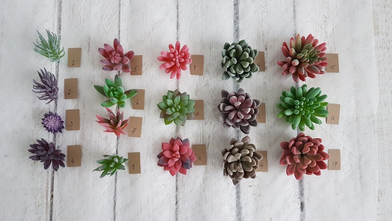 May include: Assortment of 17 artificial succulent plants, displayed on a white wooden surface. The succulents are in various shades of green, red, and purple.