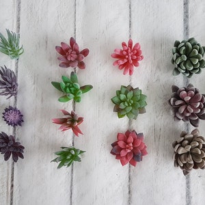 May include: Assortment of artificial succulents in various shades of green, red, and brown. The succulents are arranged in a row on a white wooden surface.