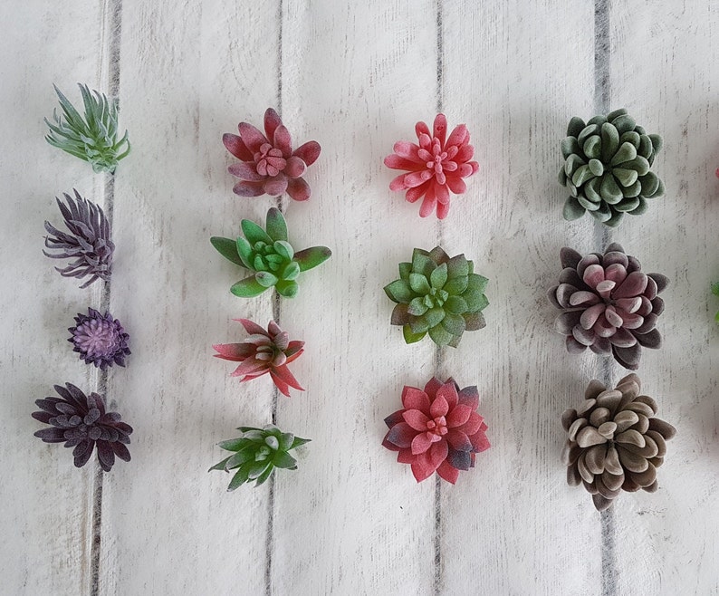 May include: Assortment of artificial succulents in various shades of green, red, and brown. The succulents are arranged in a row on a white wooden surface.