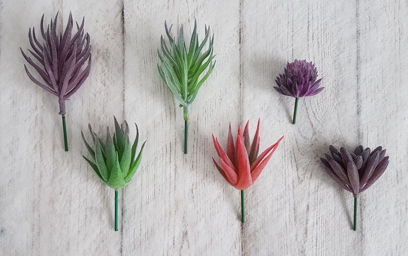 May include: Six artificial succulent plants with green, purple, and red leaves. The plants are on a white wooden background.