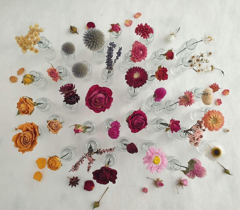 May include: A collection of dried flowers in small glass bottles. The flowers are arranged in a circular pattern on a white surface. The flowers are in various colors, including red, pink, orange, yellow, and white.