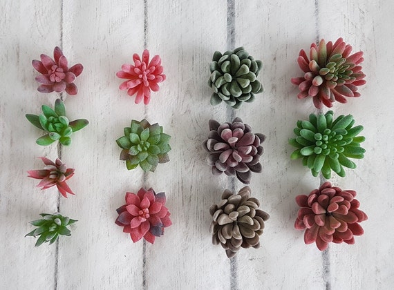 Artificial succulents Succulent plants Faux succulents Artificial plants Fake succulents Succulent stems Succulent favours Succulent gifts