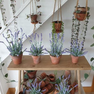 Artificial lavender plant in genuine vintage terracotta pot: Faux Purple Plant, Indoor Décor image 5
