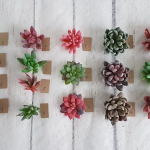 May include: A collection of 14 artificial succulent plants, each with a different color and shape. The plants are arranged in rows on a white wooden surface, with a small brown paper tag next to each one. The tags are numbered 1 through 14.