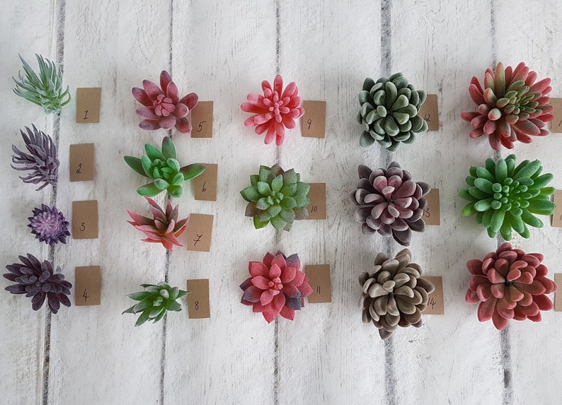 May include: A collection of 14 artificial succulent plants, each with a different color and shape. The plants are arranged in rows on a white wooden surface, with a small brown paper tag next to each one. The tags are numbered 1 through 14.