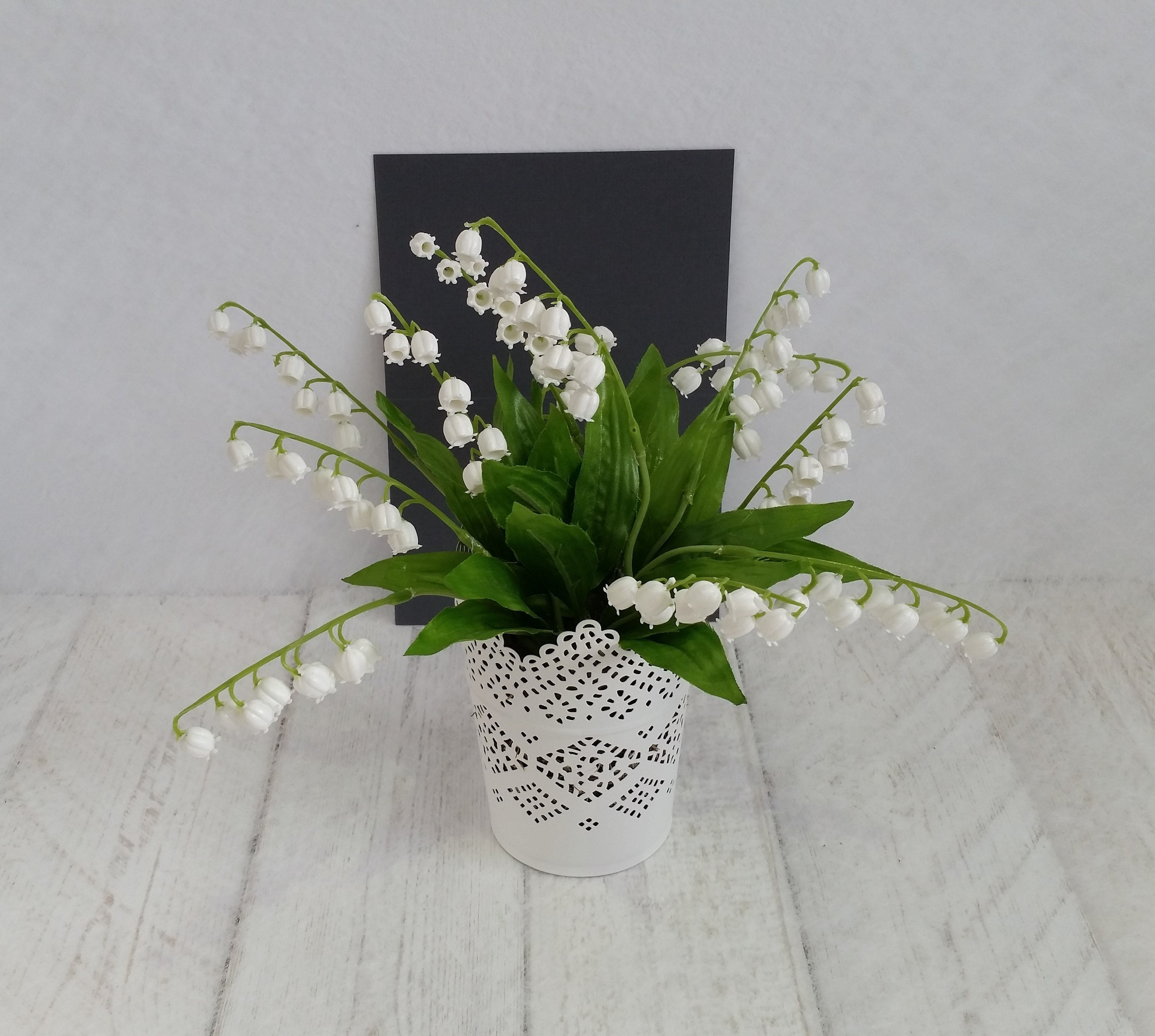 Indoor Lily of the valley plant Delicate pretty white lace pot Etsy