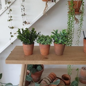 May include: Three small terracotta pots containing green artificial plants sit on a wooden shelf. Below, a larger terracotta pot holds a trailing plant, and a collection of empty terracotta pots is arranged in a cluster on the lower level.