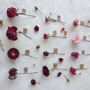 May include: Dried flowers and foliage arranged on a white surface. The flowers are in various shades of pink and red, including roses, carnations, and daisies. Each flower is labeled with a number.