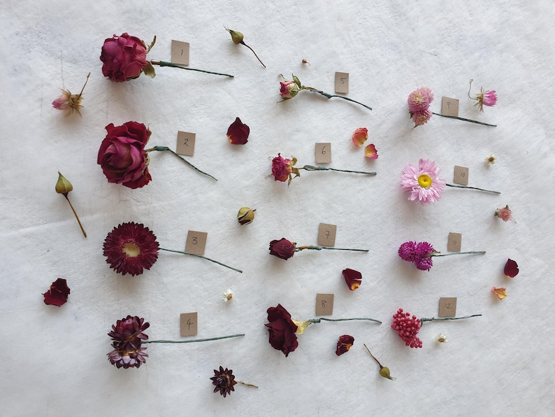 May include: Dried flowers and foliage arranged on a white surface. The flowers are in various shades of pink and red, including roses, carnations, and daisies. Each flower is labeled with a number.