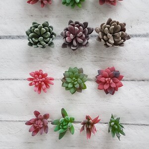 May include: Assortment of artificial succulent plants in various shades of green, red, and purple. The succulents are arranged in rows on a white wooden surface.
