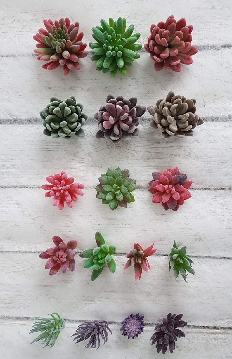 May include: Assortment of artificial succulent plants in various shades of green, red, and purple. The succulents are arranged in rows on a white wooden surface.