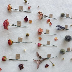 May include: Assortment of dried flowers and plants, including roses, lavender, and thistle, arranged on a white surface with numbered tags.